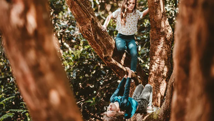 Kids climbing a tree in the school holidays